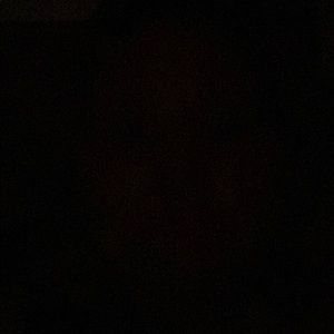 Meet your Posher, Marlin